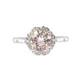 Anillo Bloom morganita