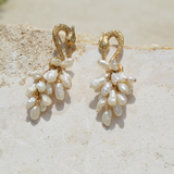 Aretes de garzas