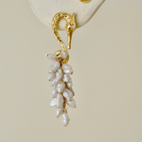 Aretes de garzas
