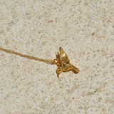 Cadena colibrí