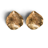 Aretes pétalos grandes